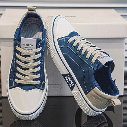 Ethan Men's Canvas Low-Top Skate Sneakers