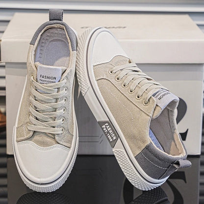 Ethan Men's Canvas Low-Top Skate Sneakers